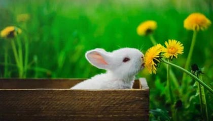 开云体育最新地址-李明全面爆发！攻防两端都做出巨大贡献！，李明筒历